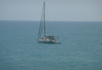 Losowe foto nr 880
