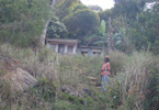 Losowe foto nr 506