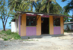 Losowe foto nr 325