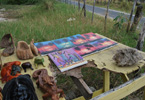 Losowe foto nr 494