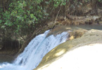 Losowe foto nr 967