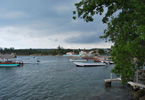 Losowe foto nr 625