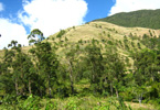 Losowe foto nr 829