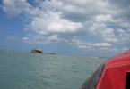 Losowe foto nr 764
