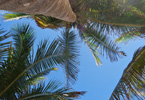 Losowe foto nr 980