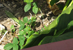 Losowe foto nr 75