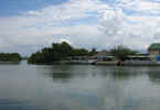 Losowe foto nr 574