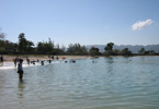 Losowe foto nr 519