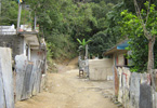 Losowe foto nr 306