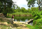 Losowe foto nr 682