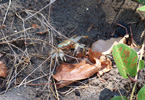 Losowe foto nr 746