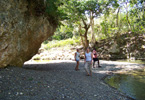 Losowe foto nr 263