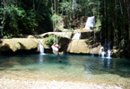 Losowe foto nr 606