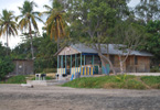 Losowe foto nr 648