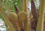 Losowe foto nr 712