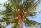 Losowe foto nr 987