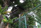 Losowe foto nr 789