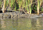 Losowe foto nr 385