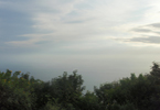 Losowe foto nr 920