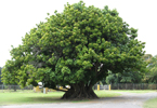 Losowe foto nr 552