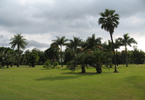 Losowe foto nr 490