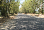 Losowe foto nr 823