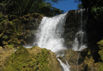 Losowe foto nr 504