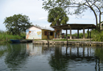Losowe foto nr 809