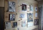 Losowe foto nr 577