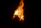 Losowe foto nr 523