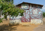 Losowe foto nr 162